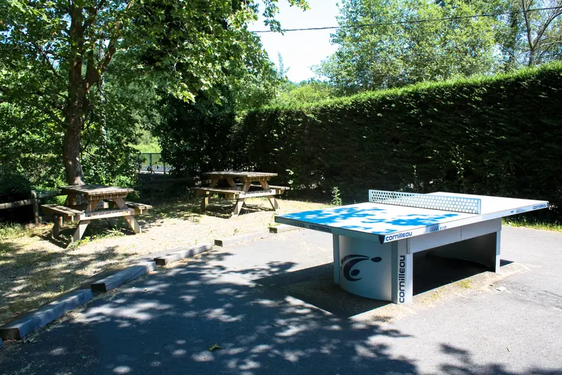 Table de ping-pong et tables de pique-nique